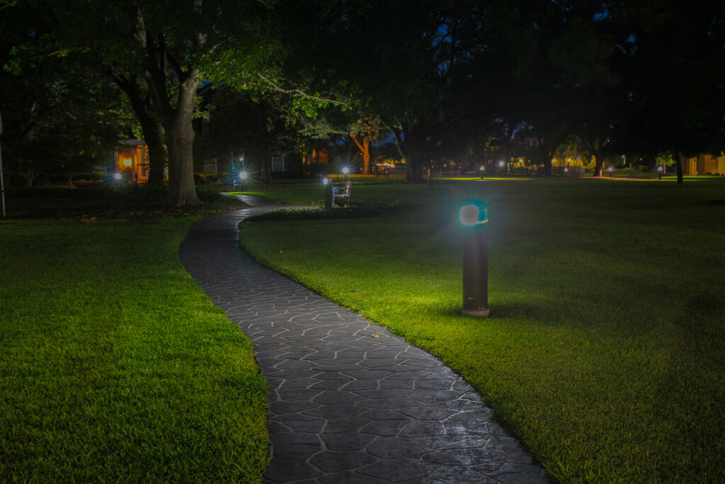 Lighted Pathway by judyc57