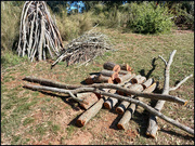 14th Aug 2022 - Cutting wood for fire