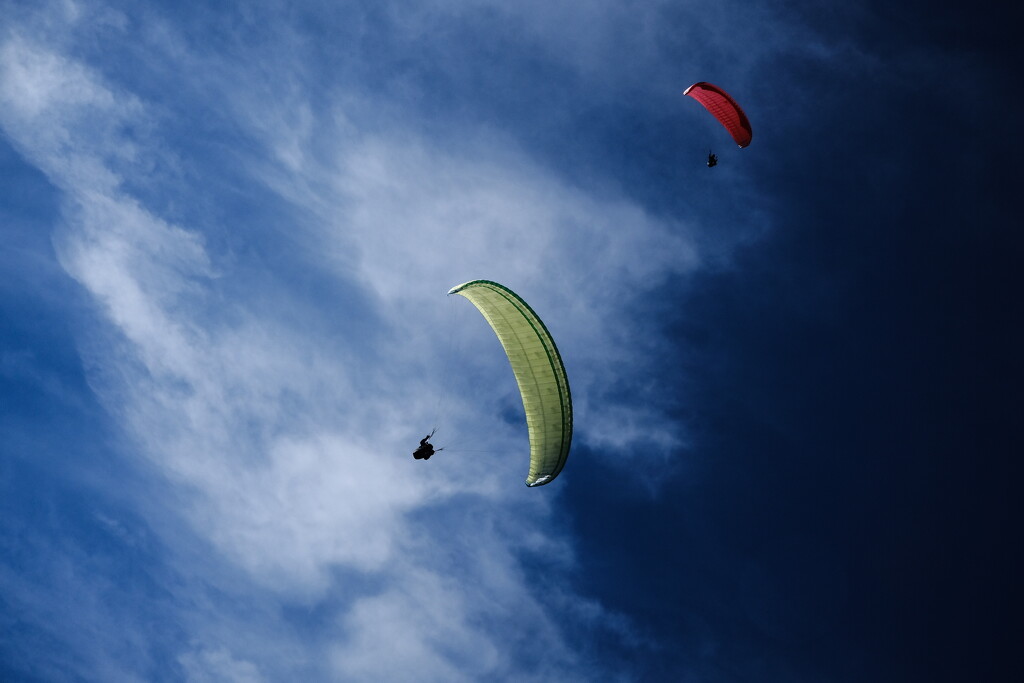 Paragliding by stefanotrezzi