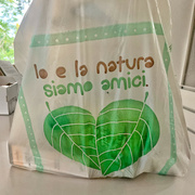 16th Aug 2022 - Heart leaves on  plastic bag. 