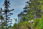 15th Aug 2022 - 226/365 Bass Harbor Lighthouse