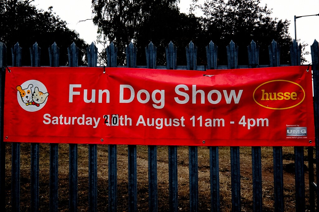 Fun Dog Show by allsop