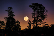 12th Aug 2022 - Full moon sunset