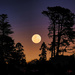 Full moon sunset by dkbarnett