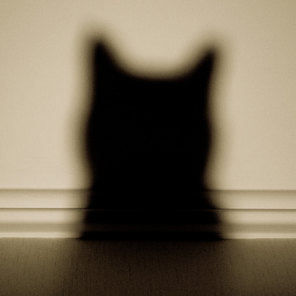 Shadowcat by thholyhorse