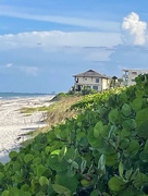 15th Aug 2022 - Pelican Beach View