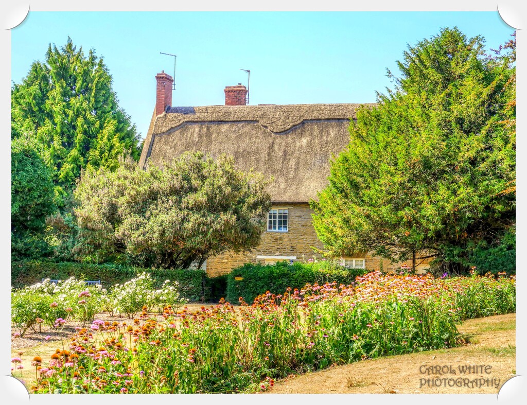 Cottage In The Park by carolmw