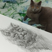 13th Aug 2022 - I'm trying to draw a cat.