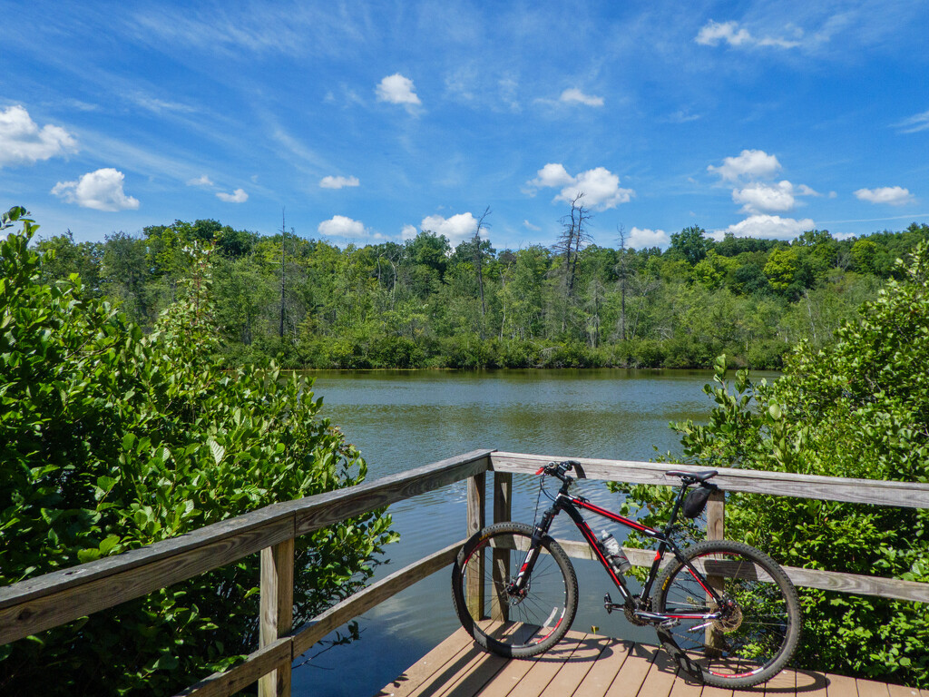 A bike ride at a local state park. by batfish