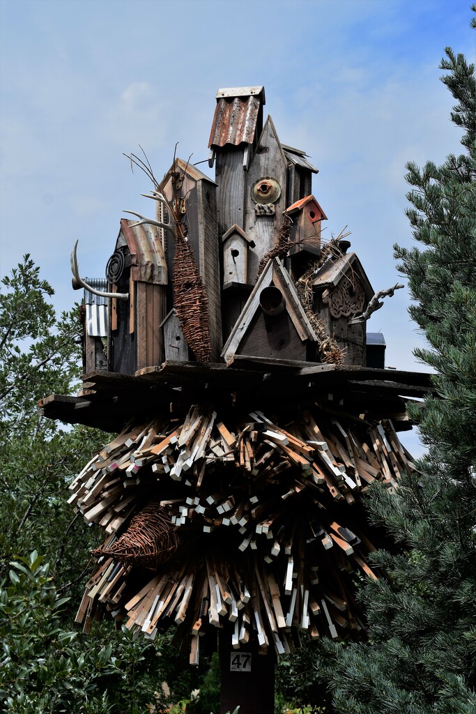 Bird House Village by sandlily