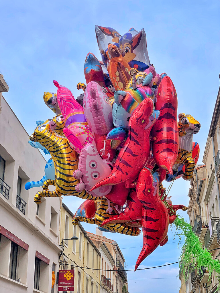 Balloons in Sète.  by cocobella