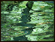 17th Aug 2022 - Green Lake Reflections