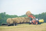 16th Aug 2022 - Loading the hay...