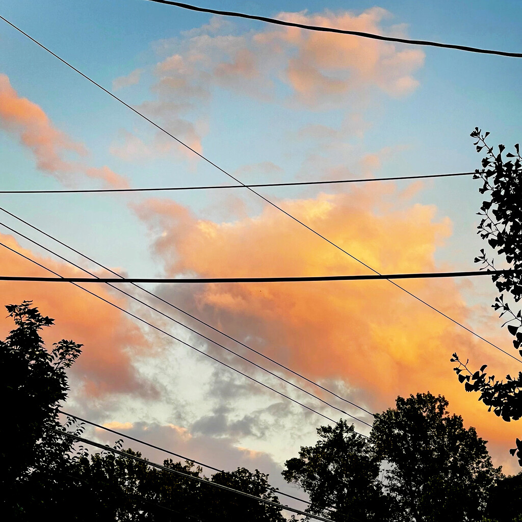 Mid-August Sky by yogiw