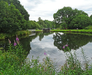 1st Aug 2022 - Leeds & Liverpool Canal