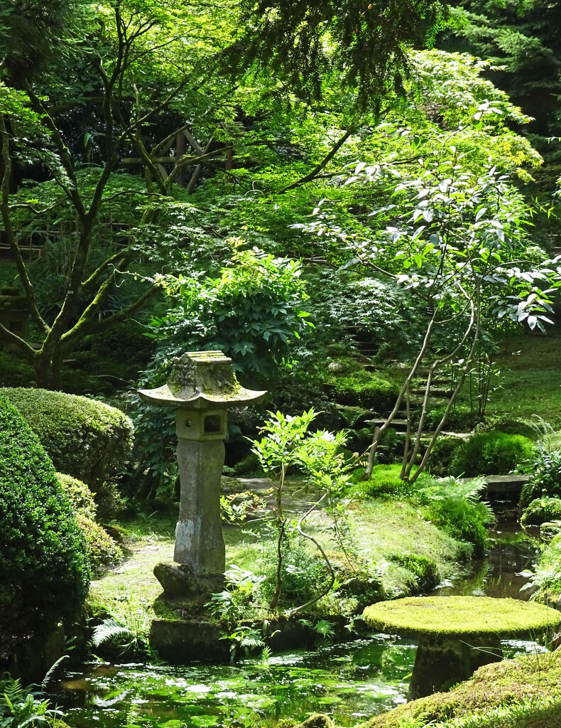 In the Japanese Garden in Tatton Park by marianj