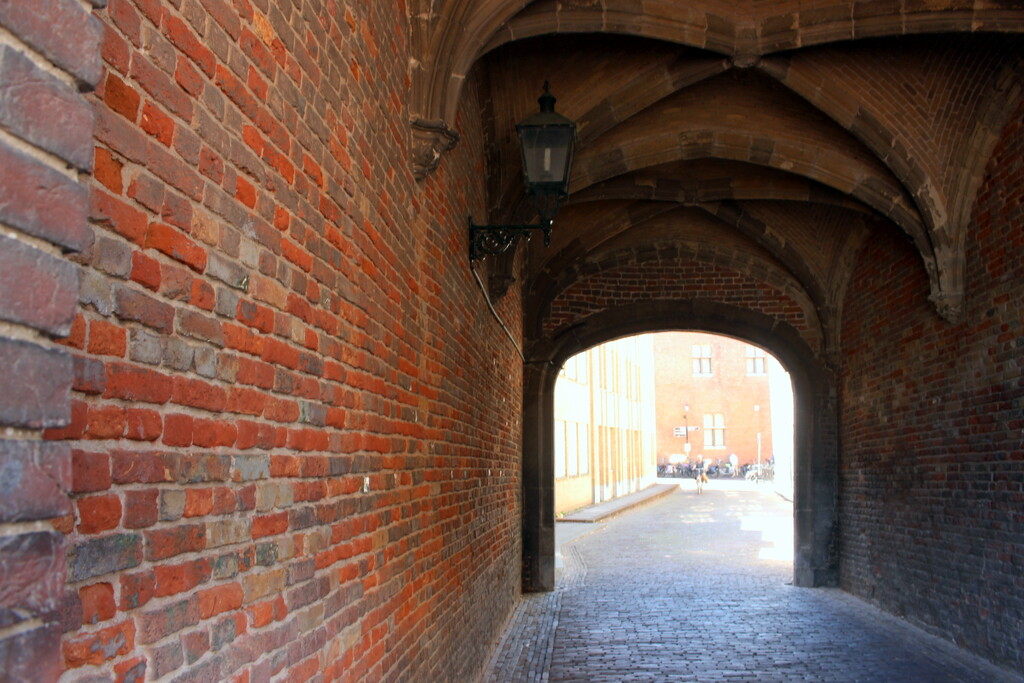 Gate. Trough the abbey  by pyrrhula