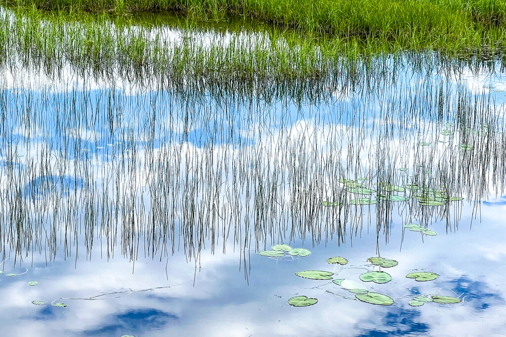 Pond and Sky Combined by kwind