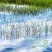 Pond and Sky Combined by kwind