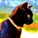 Black Cat Appreciation Day by lynnz