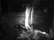 29th Jan 2011 - Fire in Black and White