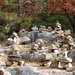A Party of Inuksuks   by sunnygreenwood