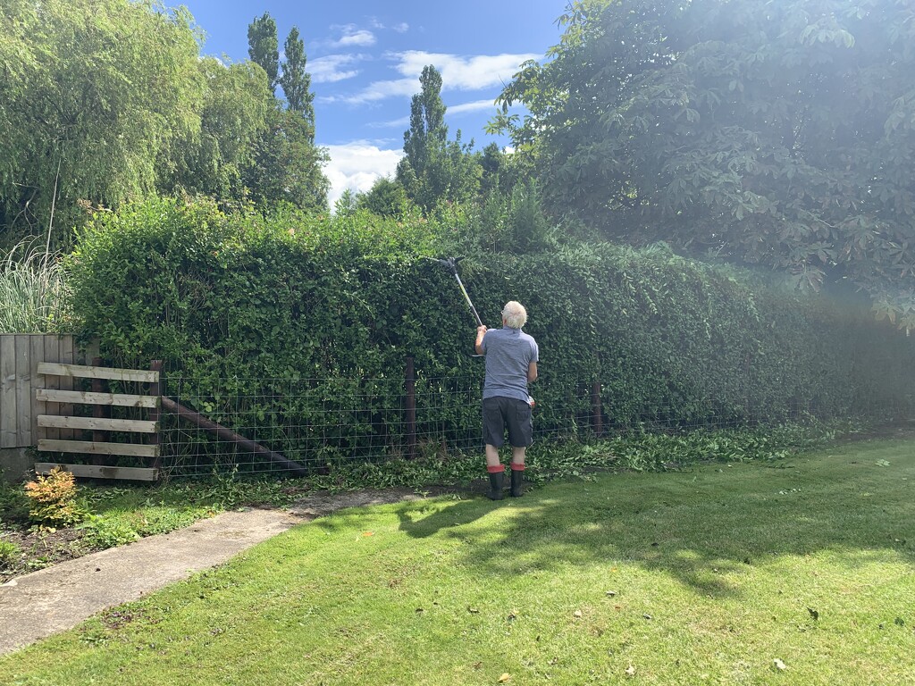 Hedge cutting time by happypat