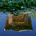 0813 - Reflection in the pond by bob65