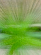19th Aug 2022 - Motion Blur/ Abstract 8