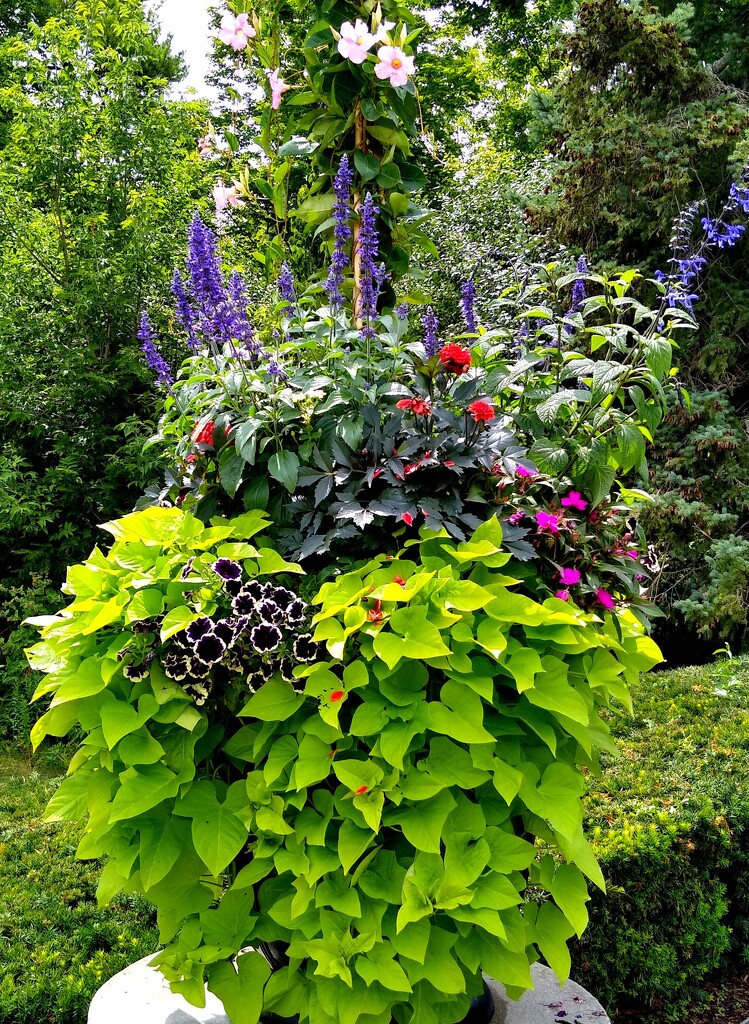 A display at Edwards Garden in Toronto by bruni