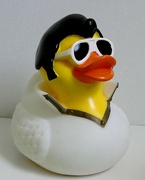 19th Aug 2022 - Elvis Duck