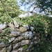 New England Wall by corinnec
