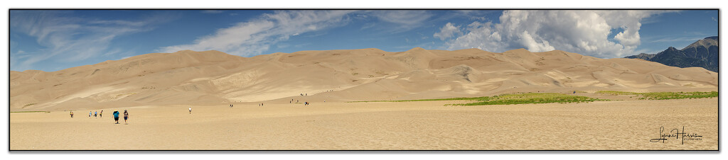 Great Sand Dunes NP Pano by lynne5477