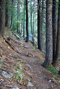 20th Aug 2022 - Trail