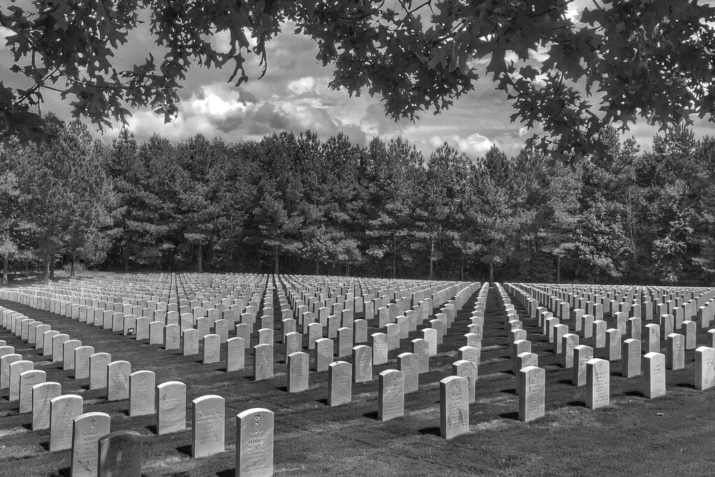 Georgia National Cemetery by lsquared