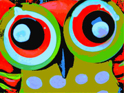 19th Aug 2022 - Owl Eyes