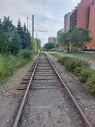 20th Aug 2022 - Heading Down The Track