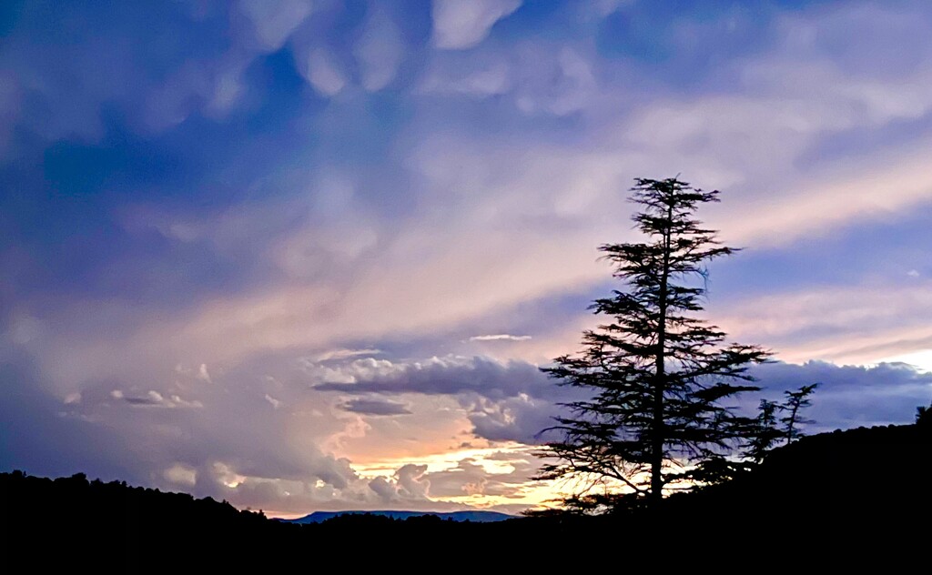 Sedona sunset by graceratliff