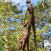 Doddington Hall Sculptures by phil_sandford