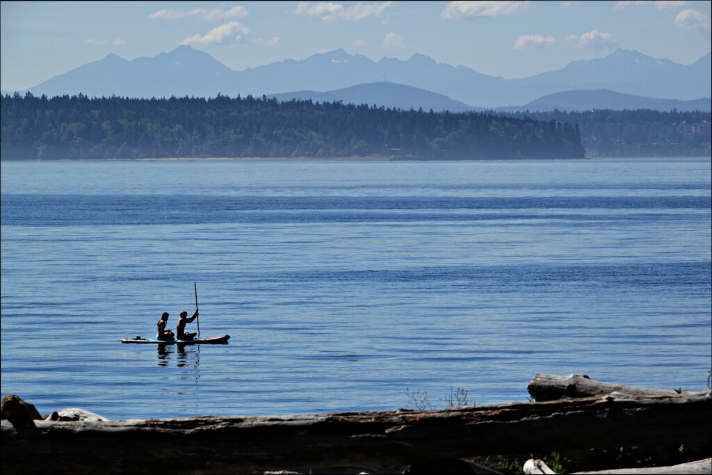 Paddle Boards on Puget Sound by seattlite