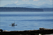 21st Aug 2022 - Paddle Boards on Puget Sound