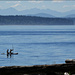 Paddle Boards on Puget Sound by seattlite