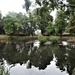 Pond in Vernon Park by oldjosh