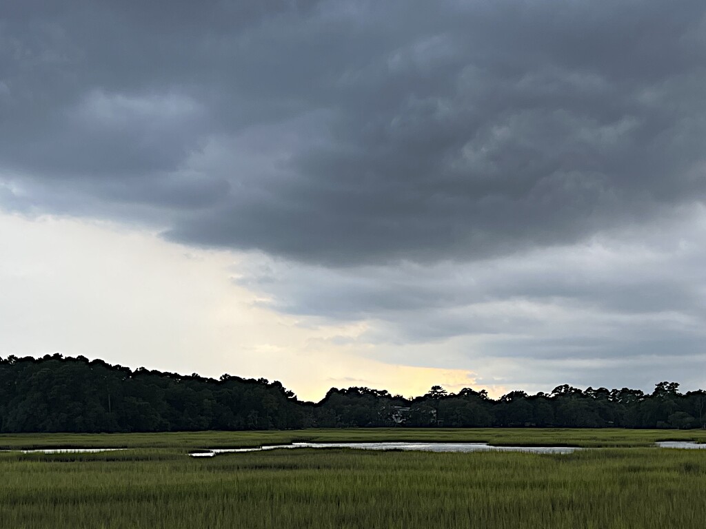 Moody sky over the marsh by congaree