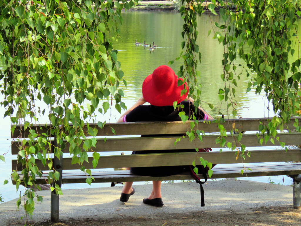 The Lady With The Red Hat. by seattlite
