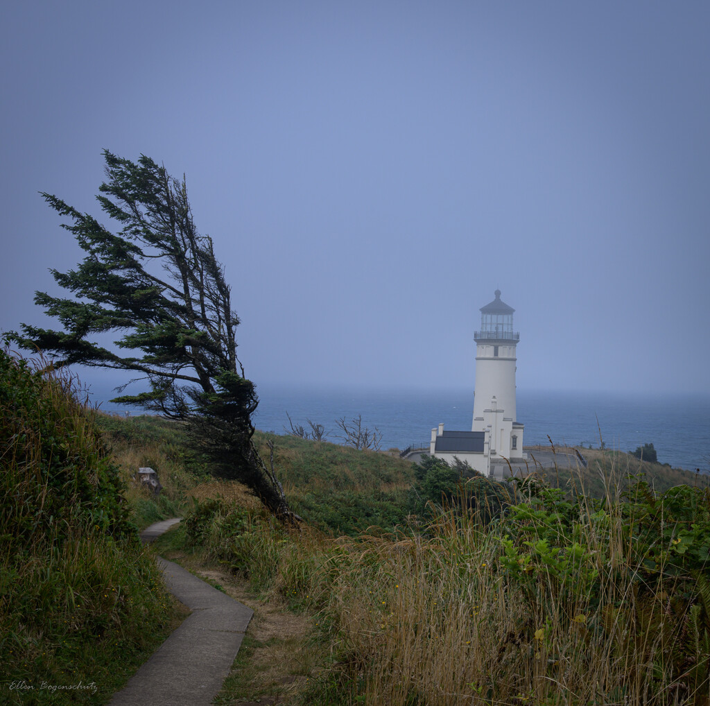 North Head Light House by theredcamera