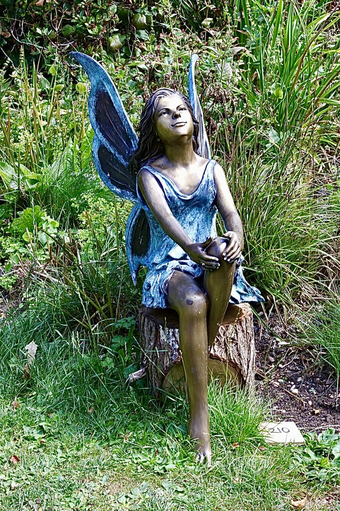 Fairy by carole_sandford