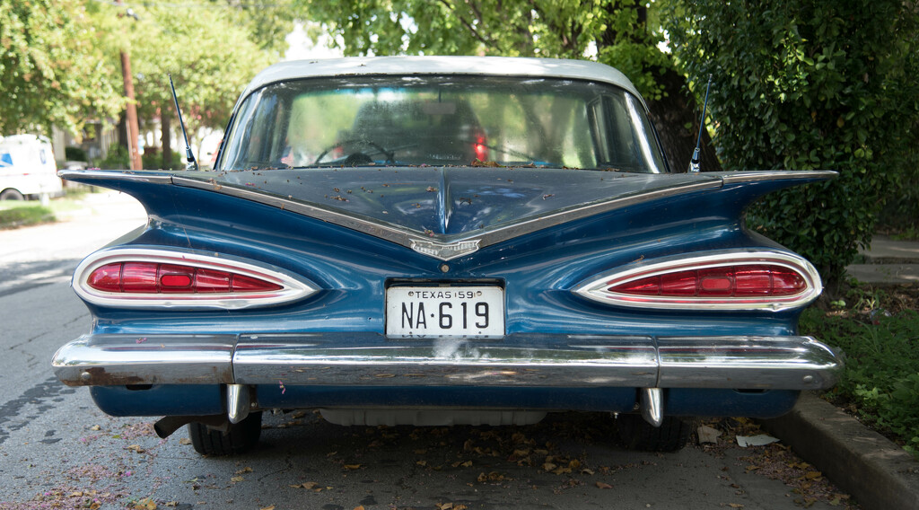 59 Chevy by dkellogg