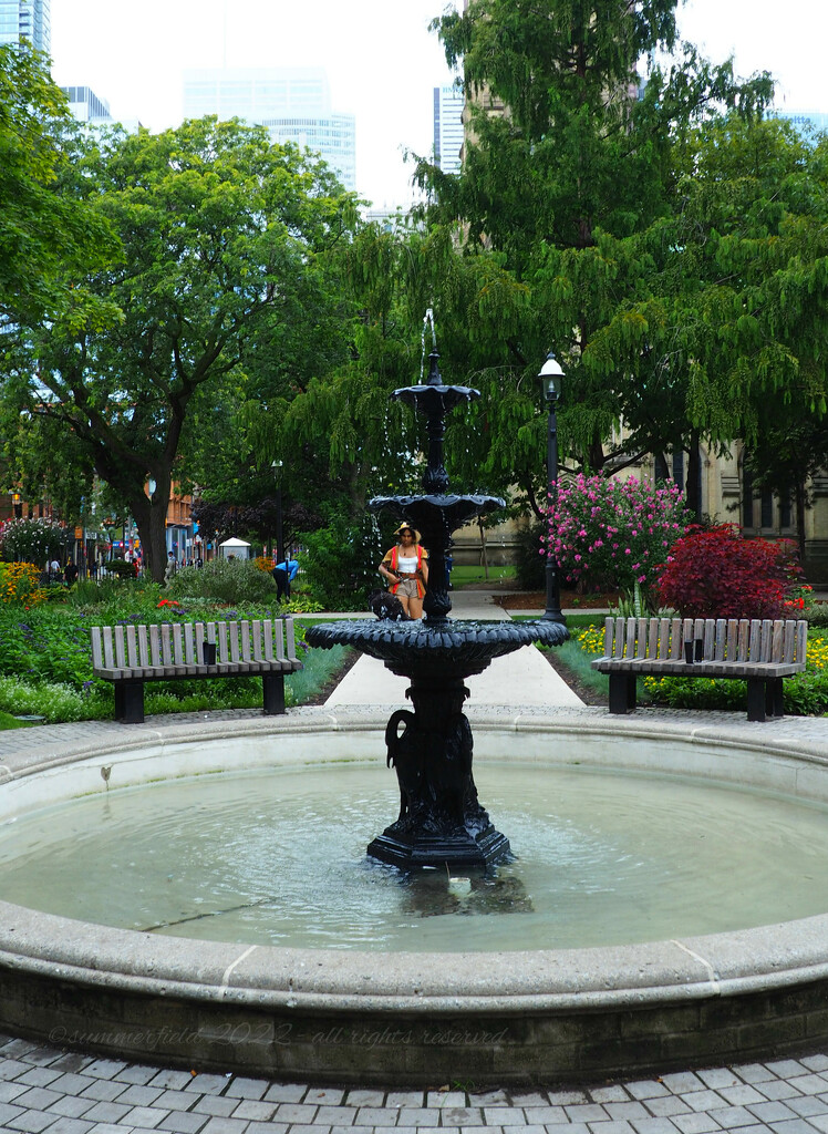 no coins in the fountain by summerfield