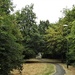 A Woodland Path? by oldjosh